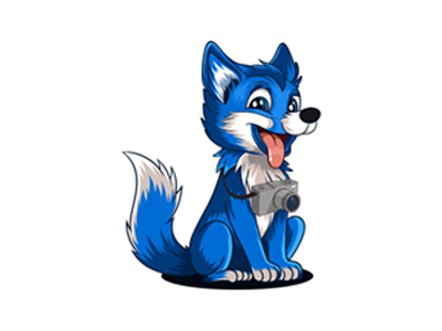 Blue Wolf Photography